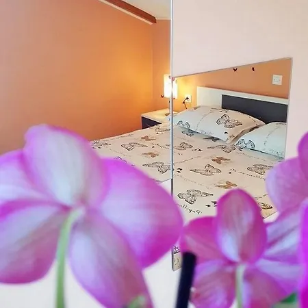 Danijel 奥帕提亚