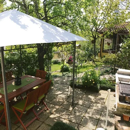 Danijel 오파티아